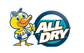 All Dry Services