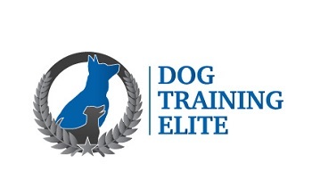 Dog Training Elite