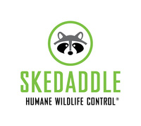 Skedaddle Humane Wildlife Control