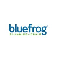 bluefrog